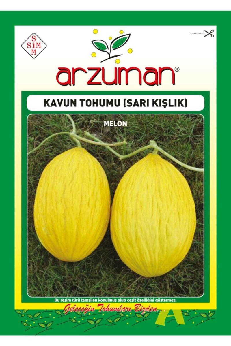 Sarı Kışlık