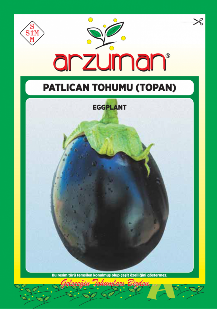  Topan 374