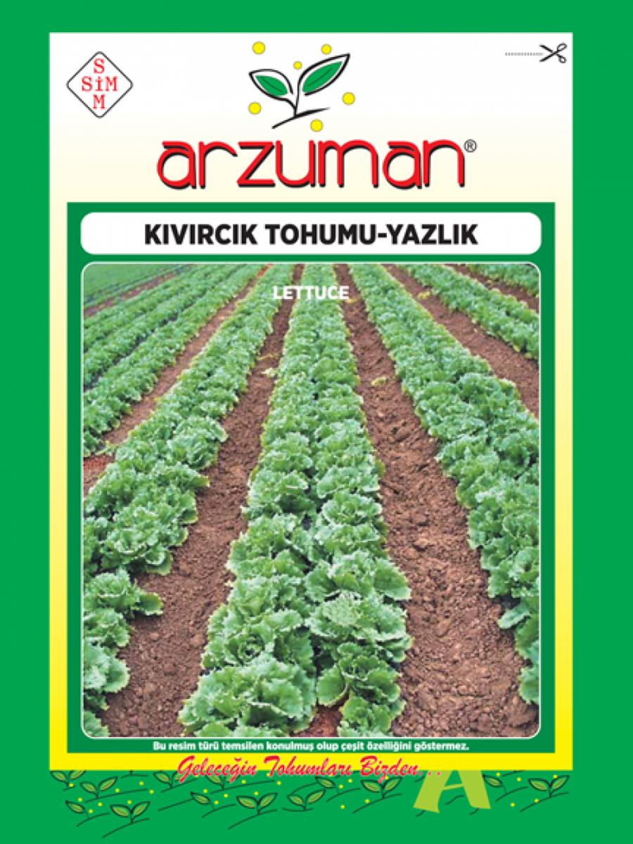 Kıvırcık