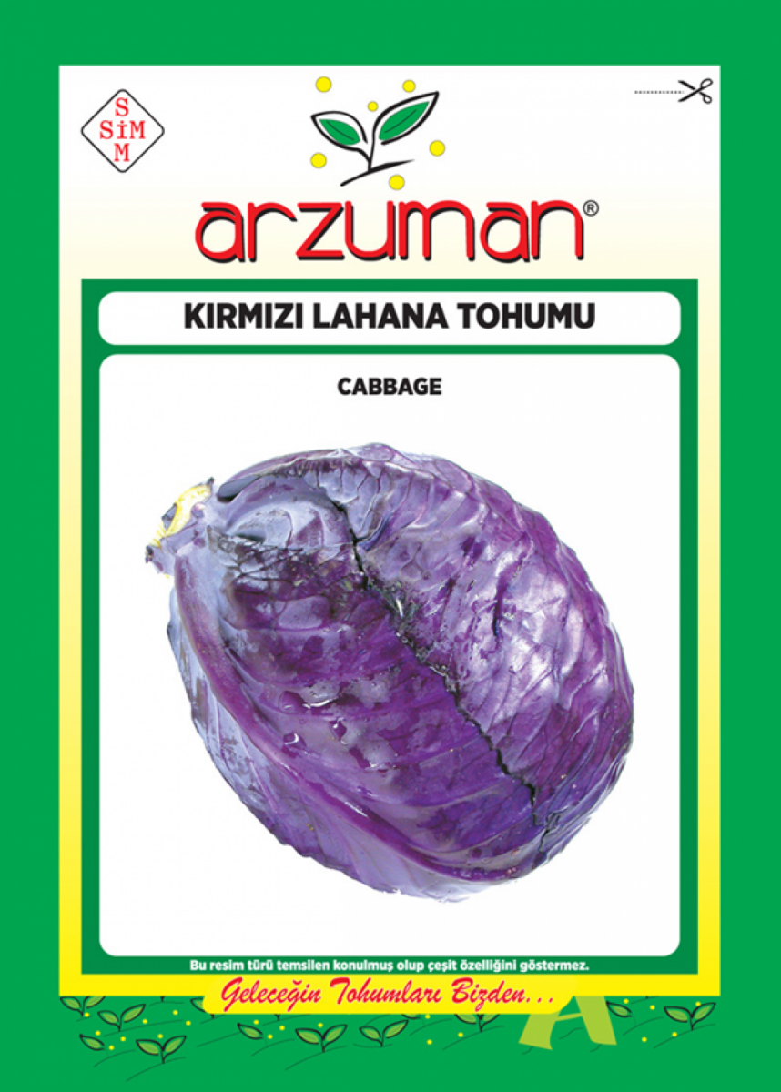 Kırmızı (Mor) Lahana