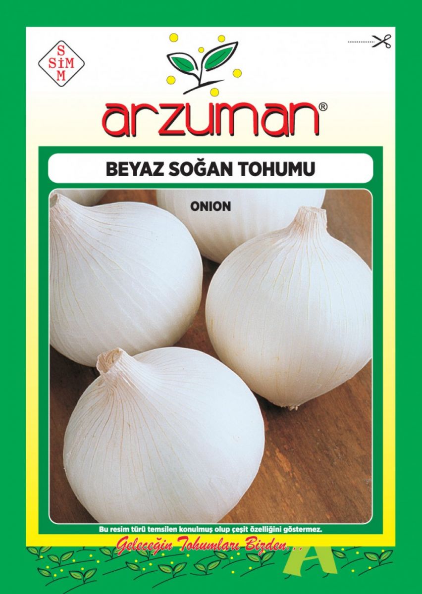 Beyaz Soğan 