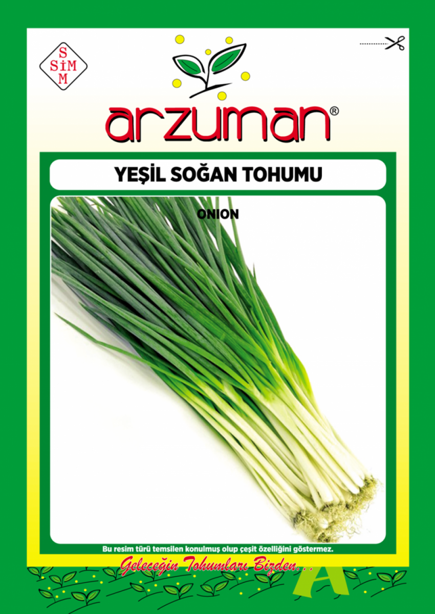 Yeşil Soğan