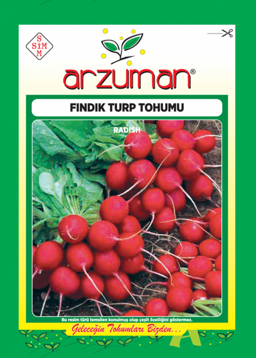 Fındık Turp